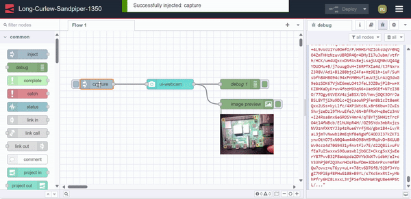 "capturing images by passing payload"